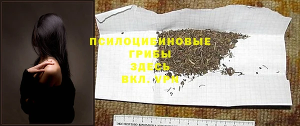 прущая мука Бородино