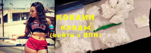 прущая мука Бородино