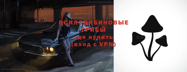 Альфа ПВП Бугульма