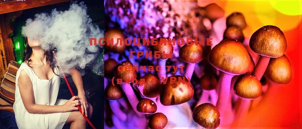 Альфа ПВП Бугульма