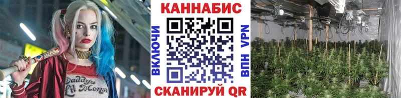 наркотики  Гудермес  Бошки марихуана MAZAR 